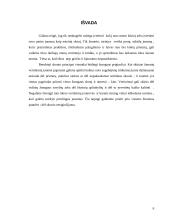 Estetikos skonis 6 puslapis