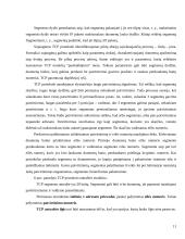 TCP/IP protokolų rinkinys 11 puslapis