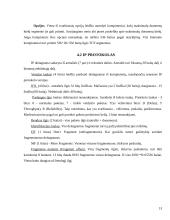 TCP/IP protokolų rinkinys 13 puslapis