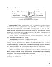 TCP/IP protokolų rinkinys 14 puslapis