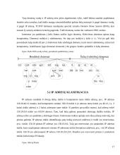 TCP/IP protokolų rinkinys 17 puslapis