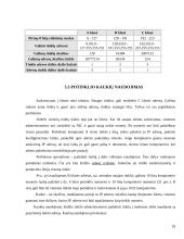 TCP/IP protokolų rinkinys 18 puslapis