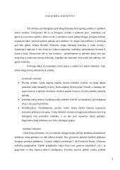 Kas yra intelektas? 4 puslapis