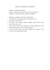 Kas yra intelektas? 8 puslapis