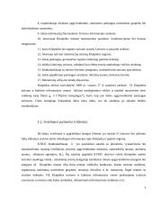 Specialiosios praktikos ataskaita: VŠĮ Klaipėdos turizmo ir kultūros informacijos centras (KTKIC) 5 puslapis