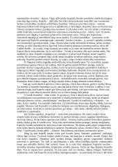 I. Šeinius "Kuprelis". Kuprelio paveikslas 2 puslapis