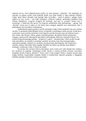 I. Šeinius "Kuprelis". Kuprelio paveikslas 3 puslapis