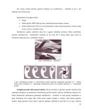 Mėsos gaminių (dešrų) technologija: perdirbimas, laikymas 16 puslapis