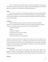 Mėsos gaminių (dešrų) technologija: perdirbimas, laikymas 19 puslapis