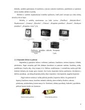 Mėsos gaminių (dešrų) technologija: perdirbimas, laikymas 4 puslapis
