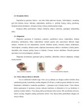 Mėsos gaminių (dešrų) technologija: perdirbimas, laikymas 5 puslapis