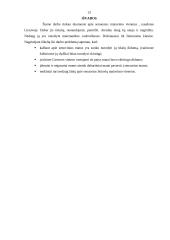 Senieji lietuviški matai dabartyje 13 puslapis