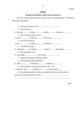 Senieji lietuviški matai dabartyje 17 puslapis