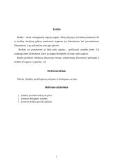 Braškių auginimas 2 puslapis