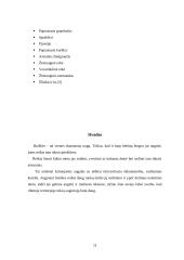 Braškių auginimas 11 puslapis