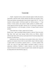 Braškių auginimas 3 puslapis