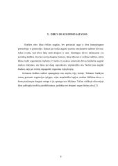 Braškių auginimas 7 puslapis