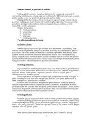 Paviršių dažymas ir paruošimas dažymui