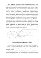 Pridėtinės vertės mokesčio (PVM) apskaita 13 puslapis