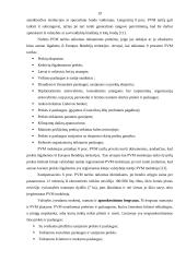 Pridėtinės vertės mokesčio (PVM) apskaita 19 puslapis