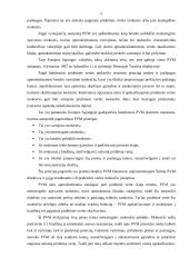 Pridėtinės vertės mokesčio (PVM) apskaita 5 puslapis