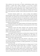 Pridėtinės vertės mokesčio (PVM) apskaita 6 puslapis