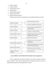 Pridėtinės vertės mokesčio (PVM) apskaita 10 puslapis