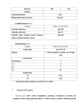 Profesinės praktikos ataskaita: reklamos agentūra "Dorta" 11 puslapis