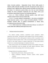 Profesinės praktikos ataskaita: reklamos agentūra "Dorta" 12 puslapis