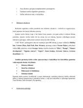 Profesinės praktikos ataskaita: reklamos agentūra "Dorta" 13 puslapis