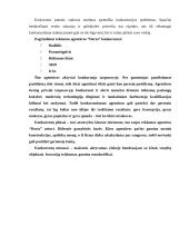 Profesinės praktikos ataskaita: reklamos agentūra "Dorta" 14 puslapis