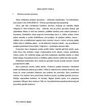 Profesinės praktikos ataskaita: reklamos agentūra "Dorta" 15 puslapis