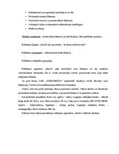 Profesinės praktikos ataskaita: reklamos agentūra "Dorta" 16 puslapis