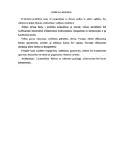 Profesinės praktikos ataskaita: reklamos agentūra "Dorta" 18 puslapis