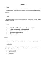 Profesinės praktikos ataskaita: reklamos agentūra "Dorta" 3 puslapis