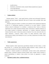 Profesinės praktikos ataskaita: reklamos agentūra "Dorta" 4 puslapis