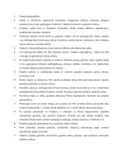 Profesinės praktikos ataskaita: reklamos agentūra "Dorta" 5 puslapis