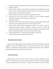 Profesinės praktikos ataskaita: reklamos agentūra "Dorta" 6 puslapis