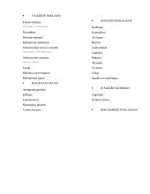 Profesinės praktikos ataskaita: reklamos agentūra "Dorta" 9 puslapis