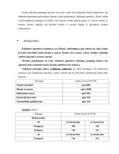 Profesinės praktikos ataskaita: reklamos agentūra "Dorta" 10 puslapis