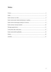 Kaimo turizmo plėtra Lietuvoje 2 puslapis