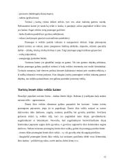 Kaimo turizmo plėtra Lietuvoje 12 puslapis