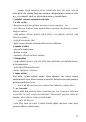 Kaimo turizmo plėtra Lietuvoje 13 puslapis