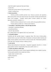 Kaimo turizmo plėtra Lietuvoje 14 puslapis