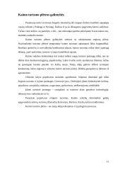 Kaimo turizmo plėtra Lietuvoje 15 puslapis