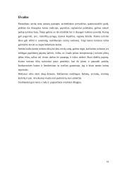 Kaimo turizmo plėtra Lietuvoje 16 puslapis