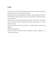 Kaimo turizmo plėtra Lietuvoje 3 puslapis