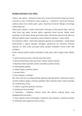 Kaimo turizmo plėtra Lietuvoje 4 puslapis