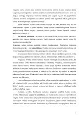 Kaimo turizmo plėtra Lietuvoje 7 puslapis