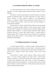 Įmonės finansinė-ūkinė veikla 13 puslapis